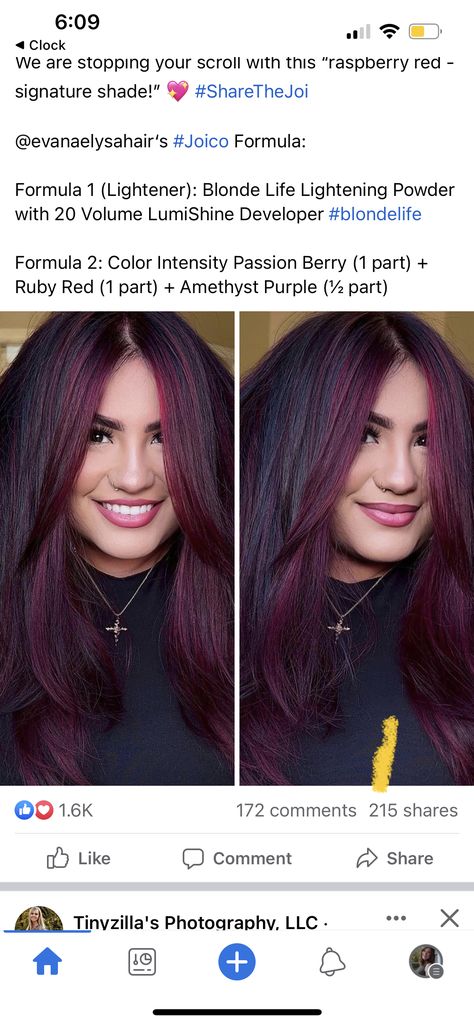 Joico Amethyst Purple, Redken Red Violet Formula, Violet Red Hair Color Formula, Merlot Hair Color Formula, Pravana Magenta Hair, Redken Plum Hair Color Formula, Plum Hair Formula, Plum Hair Color Formula, Burgundy Hair Formula