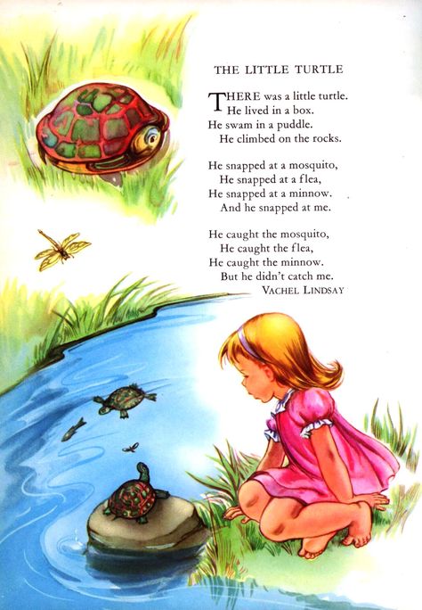 The Little Turtle Poem by Vachel Linsay Traditional Tune Illustrated by Priscilla Pointer From: Childcraft, Volume 1, Poems of Early Childhood, p. 96 - more info here - http://singbookswithemily.wordpress.com/2010/08/27/the-little-turtle-a-singable-illustrated-poem/ Preschool Poems, Nursery Rhymes Poems, Old Nursery Rhymes, English Poems, Toddler Montessori, Childrens Poems, English Stories For Kids, English Short Stories, Childrens Poetry