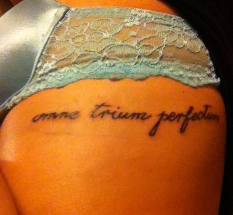 Omne trium perfectum. Latin for "everything that comes in threes is perfect" tattoo for my sisters because there's three of us. Temple Decoration, Sister Tat, Tattoo Pics, Sister Tattoo, Perfect Sisters, Perfect Tattoo, Tattoo Parlor, Sibling Tattoos, 3 Boys