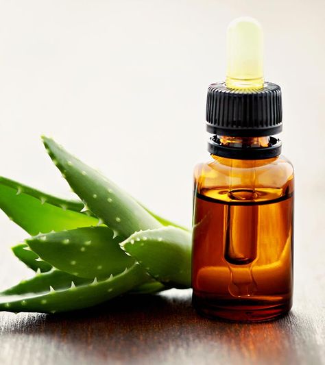 Aloe Vera Acne, Aloe Vera Moisturizer, Aloe Oil, Become Healthy, Benefits Of Aloe Vera, Aloe Vera For Skin, Aloe Vera Skin Care, Aloe Vera Oil, Aloe Vera Face Mask