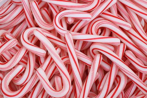 Candy canes! (by GJdisplay) Christmas Candy Homemade, Candy Images, Candy Board, Mini Candy Canes, Christmas Candy Recipes, Holiday Scents, Wallpaper Laptop, Chocolate Leather, Christmas Candy Cane