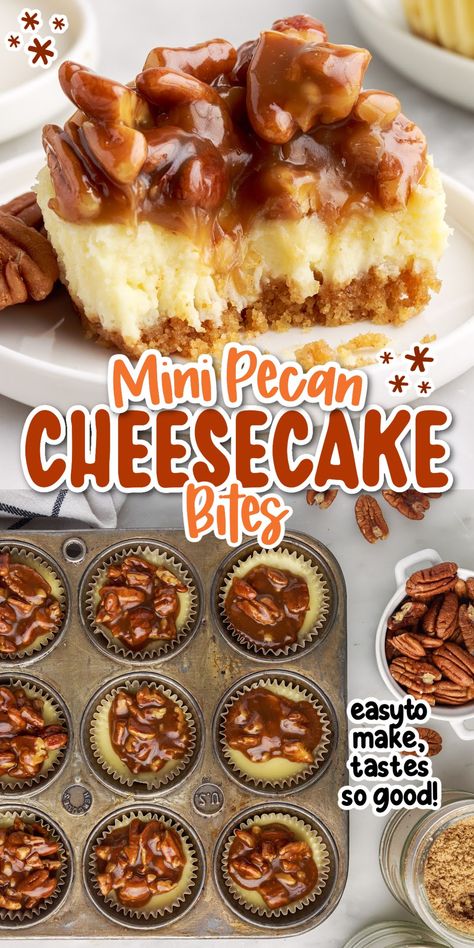 These mini pecan cheesecake bites have a buttery graham cracker crust, creamy cheesecake filling, and are topped with a caramel pecan drizzle. Pecan Cheesecake Bites, Mini Pecan Cheesecakes, Pecan Cheesecake Recipes, Yummy Pie, Cheesecake Bites Recipe, Pecan Desserts, Mini Pecan Pies, Pecan Topping, Pecan Pie Cheesecake