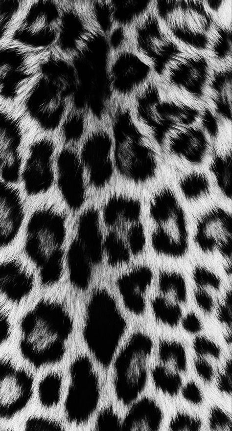 Macan Tutul, Fall Collage, Leopard Print Wallpaper, Cheetah Print Wallpaper, Animal Print Pattern, Animal Print Wallpaper, Iphone Wallpaper Photos, Tapeta Pro Iphone, Iphone Prints