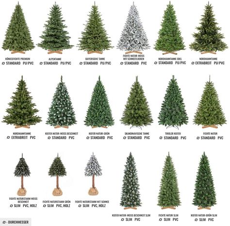 Back Nordmann Fir Christmas Tree, Types Of Christmas Trees, Realistic Artificial Christmas Trees, Fir Christmas Tree, Led Fairy Lights, Fir Tree, Artificial Tree, Wooden Stand, Artificial Christmas Tree