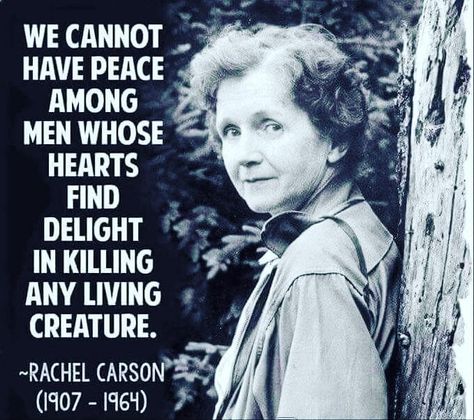 Animal Rights Quotes, Vegan Facts, Rachel Carson, Vegan Memes, Animal Activism, Vegan Quotes, Animal Liberation, Vegan Humor, Stop Animal Cruelty