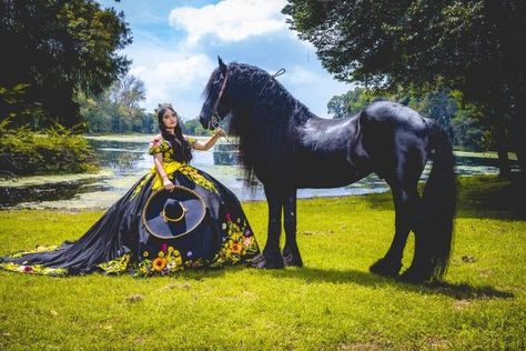 Quinceanera Horse Theme, Quince Pics With Horses, Quinceanera Entrance, Quince Photos, Quinceanera Photoshoot, Quinceañera Ideas, Red Quinceanera Dresses, Quinceanera Dresses Blue, Quinceanera Ideas