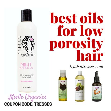 Oils For Low Porosity Hair, Low Porosity Hair Care, Low Porosity Natural Hair, Hair Recipes, Low Porosity Hair, Growing Hair, Low Porosity, Health Hair, Natural Hair Regimen