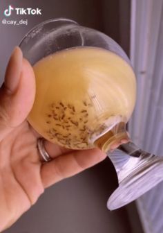 How To Attract And Kill Nats, Diy Get Rid Of Gnats, Home Remedy To Get Rid Of Nats, Keep Gnats Out Of House, How To Get Ride Of Nats In The House, Home Remedy To Get Rid Of Gnats, How To Get Rid Of Nats In The Kitchen, Homemade Gnat Spray, Get Rid Of Nats House