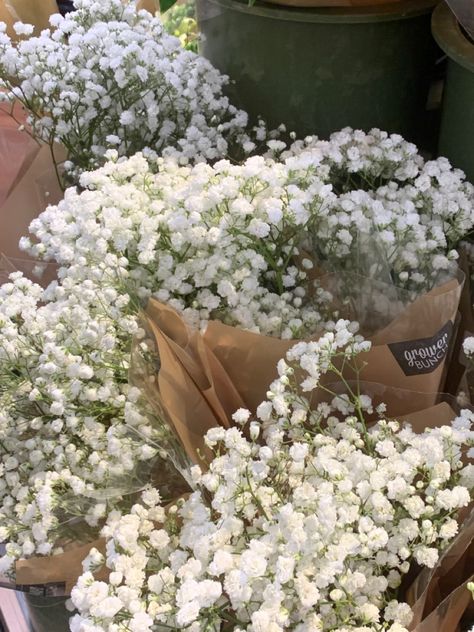 Spring White Aesthetic, Clean Flowers Aesthetic, White Flower Aesthetic, White + Core + Aesthetic, White Flowers Aesthetic, Grace Flower, Flowers Neutral, Little White Flowers, White Wildflowers