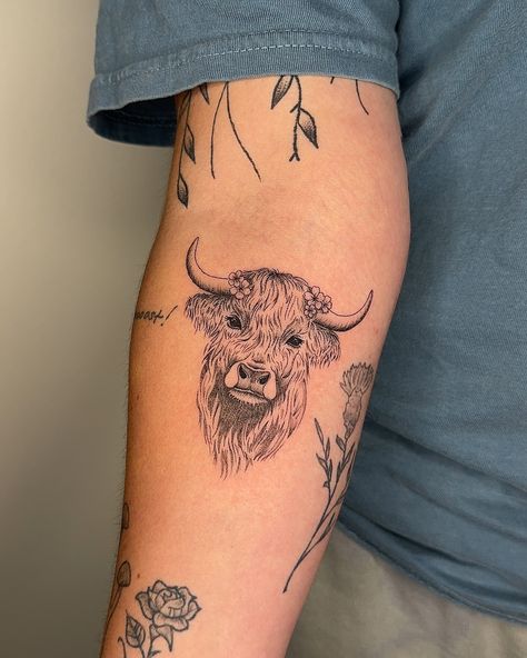 highland cow for @alibrunton 🌸🌸 Highland Cows Tattoos, Highland Coo Tattoo, Cow Sleeve Tattoo, Cute Highland Cow Tattoo, Highland Cow Tattoo Ideas, Hyland Cow Tattoo, Fine Line Cow Tattoo, Fluffy Cow Tattoo, Highland Cow Tattoo Simple