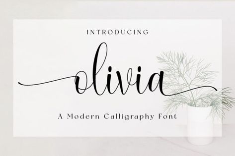 Olivia Script & Handwritten Font By fanastudio Olivia In Calligraphy, Modern Calligraphy Fonts, Diy Cricut, Cricut Tutorials, Handwritten Font, Calligraphy Fonts, Script Fonts, Modern Calligraphy, Font Bundles