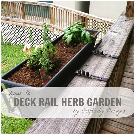 How To Create A Deck Rail Herb Garden // fits many deck rail widths and easy to order from amazon Patio Herb Garden, Deck Railing Planters, Herb Garden Planter, Deck Planters, Herbs Indoors, Small Space Gardening, Deck Garden, Balcony Garden, Shade Garden