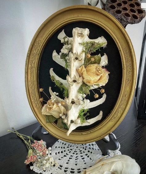 Gothic Animal Skull Decor, Goth Antler Decor, Bone Oddity Art, Diy Oddity Decor, Vulture Culture Decor, Animal Bones Decor, Skull Taxidermy Art, Crafts With Bones, Diy Oddities Decor