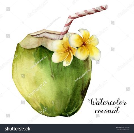 Watercolor coconut with plumeria flowers. Hand painted exotic drink with striped tube and floral decor isolated on white background. Tropical cocktail with a straw. Food illustration for design. images illustration Coconut With Straw, Straw Umbrella, Cocktail Watercolor, Coconut Cocktail, Tropical Artwork, Green Coconut, Coconut Drinks, Beach Drinks, Exotic Beaches