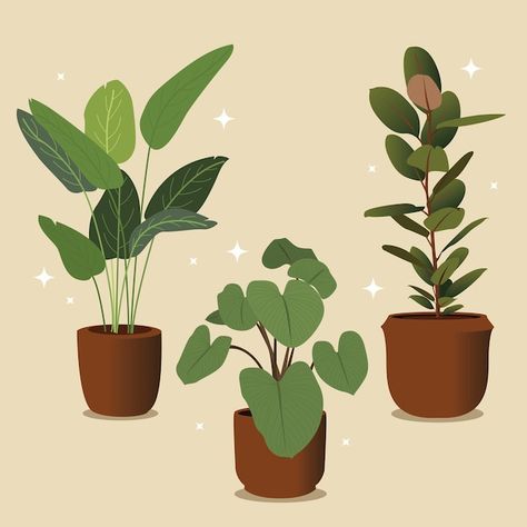 Aesthetic Plant Illustration, Plant Flat Illustration, Indoor Plants Illustration, Pot Plant Illustration, House Plants Illustration, Plant In Pot Illustration, Plant Pot Illustration, Pot Plant Drawing, Planter Illustration