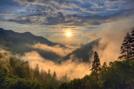 Best Photo Opportunities in the Great Smoky Mountains National Park National Parks Usa, Mountain Photography, Great Smoky Mountains National Park, Blue Ridge Parkway, East Tennessee, Smoky Mountain National Park, Appalachian Trail, Nature Trail, Great Smoky Mountains