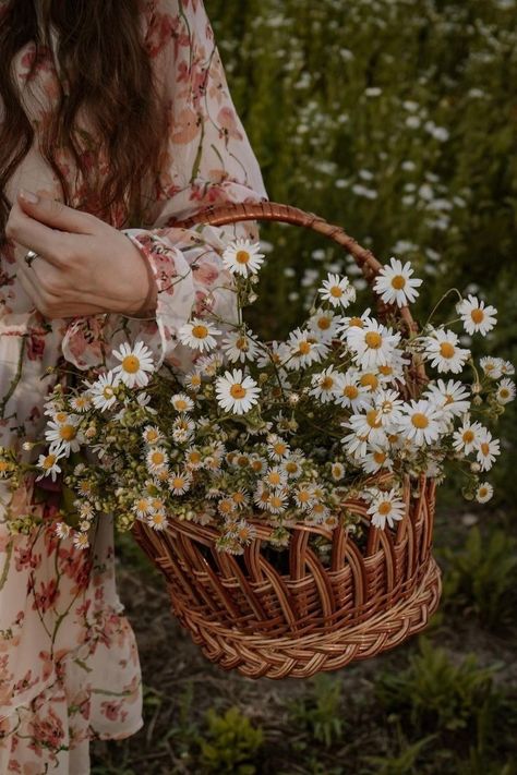 Cottage Core Flowers, Cottage Aesthetic, Romantic Bouquet, Flower Girl Baskets, Rosé Aesthetic, Floral Baskets, Nothing But Flowers, Vintage Spring, Nature Images