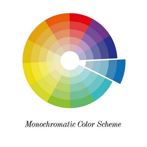 how to use monochromatic color palette in interior design Graphic Design Terms, Key Graphic, Colour Study, Urban Retreat, Monochromatic Color Palette, Monochromatic Color Scheme, Monochrome Color, Brand Color Palette, Design School