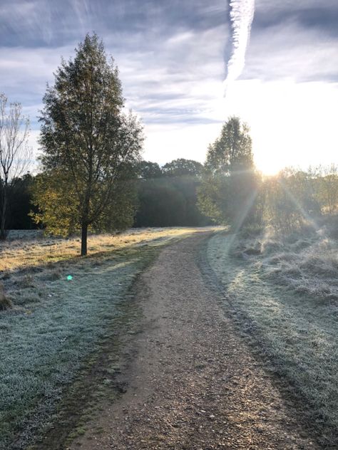 frosty grass fall snow sun shining cold frozen trees Grey November, Cold Sunny Day, March Aesthetic, Sisters Movie, Fall Snow, Dark Weather, Beginning Of Spring, Winter Mood, Nice Weather