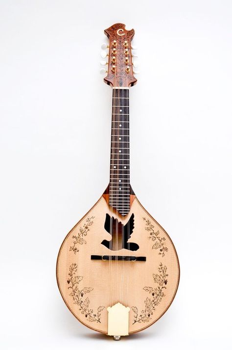 Musical Art, Ukelele, Making Music, Mandolin, String Instruments, Music Room, Sound Of Music, Musical Instrument, Banjo