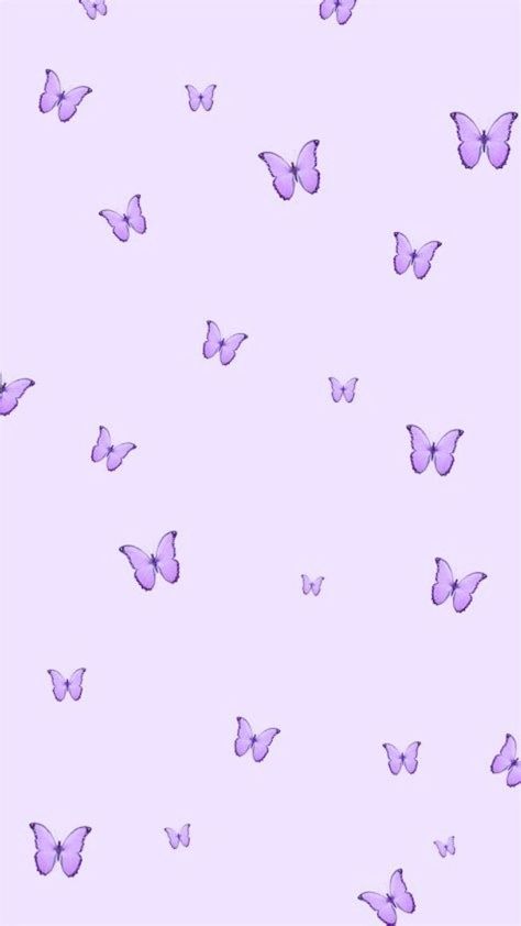 Facebook Violet Aesthetic, Cartoon Wallpaper Iphone, Purple Butterfly, Butterfly Wallpaper, Bangkok Thailand, Beautiful Soul, Monkeys, Cartoon Wallpaper, Pretty Wallpapers