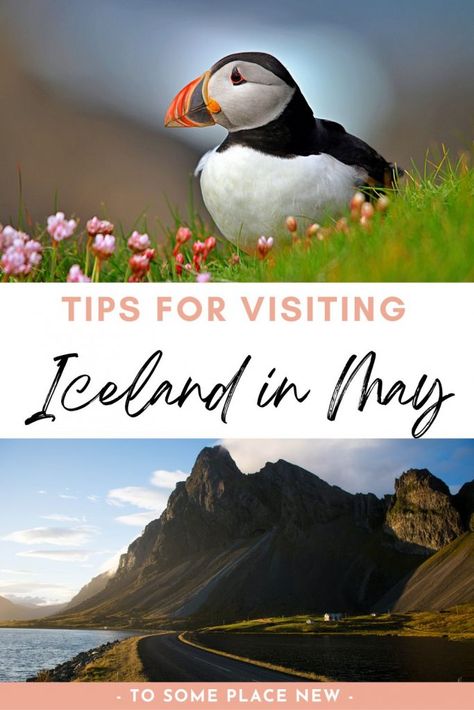 Iceland In The Summer, Iceland Travel Summer, Iceland In May, Iceland Travel Itinerary, Iceland Travel Photography, Iceland Vacation, Iceland Trip, Iceland Travel Tips, Iceland Itinerary