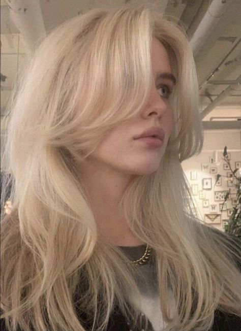 Platinum Hair Inspiration, Arctic Blonde Hair, Blonde Hair No Layers, Light Blonde Hairstyles, Light Blonde Hair Aesthetic, Blonde Hair Pale Skin Blue Eyes, White Layered Hair, Blonde 70s Hair, Platinum Blonde Haircut