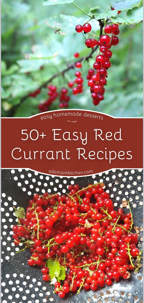 Red Currant Recipes, Red Currant Recipe, Currant Recipes, Homemade Pie Recipes, Desserts Homemade, Easy Homemade Desserts, Traditional Christmas Cookies, Red Currants, Wild Food Foraging