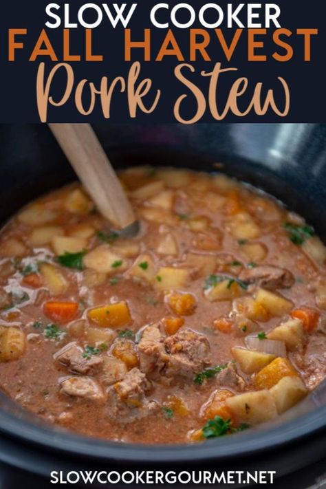 Pork Stew Meat Recipes, Pork Stew Meat, Pork Stew Recipes, Affordable Recipes, Crockpot Recipes Beef Stew, Crockpot Stew, Stew Meat Recipes, Pork Soup, Beef Stew Crockpot