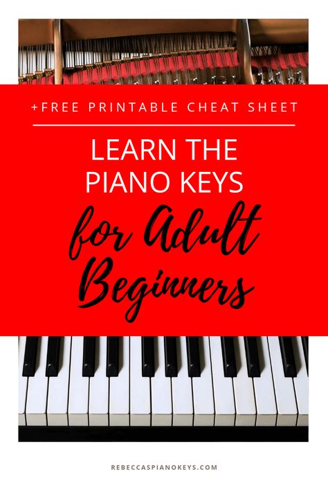 Casio Piano, Music Alphabet, Learn Piano Beginner, Learn Piano Notes, Beginner Piano Lessons, Piano Learning, Beginner Piano Music, Piano Music Easy, Reading Sheet Music