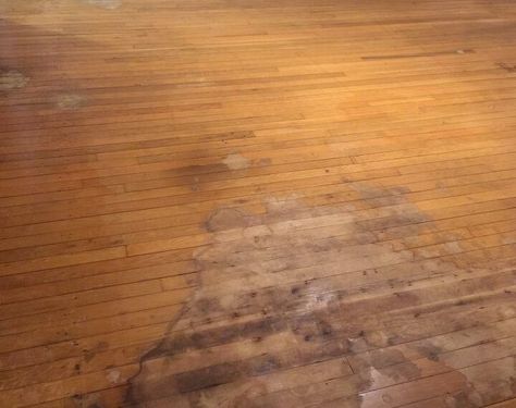 Plywood Plank Flooring, Painted Hardwood Floors, Diy Hardwood Floors, Linoleum Floors, Refinish Wood Floors, Diy Wood Floors, Old Wood Floors, Painted Wood Floors, Floor Makeover