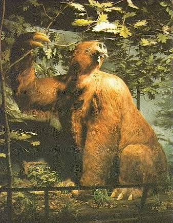 Kent Hovind, Giant Sloth, Ground Sloth, Big Lizard, Dinosaur Footprint, Haunted History, Extinct Animals, Ice Age, Prehistoric Animals