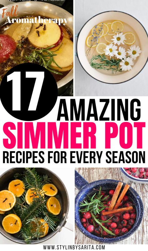 simmer pot recipes Smell Hacks For Home, Diy Simmer Pot, Home Smell Good, Hacks For Home, Homemade Potpourri, Simmer Pot Recipes, Stove Top Potpourri, Simmering Potpourri, Potpourri Recipes