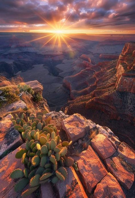 Grand canyon Grand Canyon Aesthetic, Arizona Canyons, Canyon Aesthetic, Dream Roadtrip, Project 2025, Trip To Grand Canyon, Country Fences, Grand Canyon Arizona, Vintage Arizona