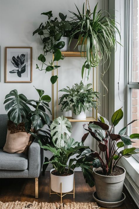 Ensure your apartment plants thrive by choosing the right potting mix with these helpful tips. #ApartmentPlants #PottingMix Corner Decor Living Room, Plant Living Room Aesthetic, Plant Interior Design, Dark Modern Home, Sunny Living Room, Plant Decor Living Room, Living Room Plants Decor, Living Room Interior Design Ideas, Room Interior Design Ideas