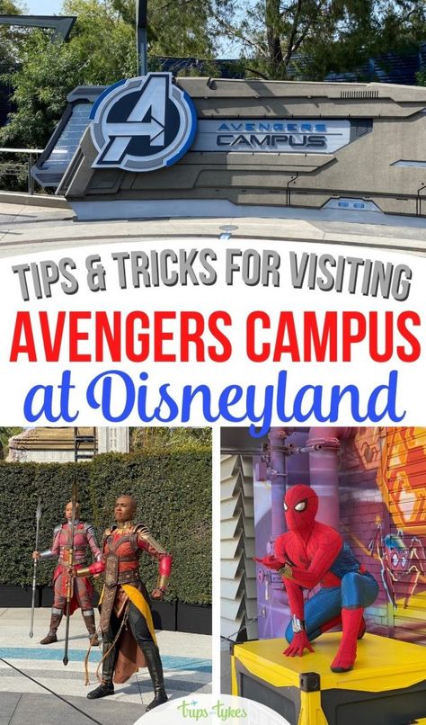 Marvel Campus Disneyland, Disneyland Adventure Park, Tips For Disneyland, Disney California Adventure Food, Avengers Campus Disneyland, Super Hero Food, California Adventure Food, Disneyland 2024, Disneyland 2023