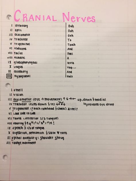 Cranial nerves, mnemonic O,o,o to, touch, and feel, a girls, vag, and hair Mnemonics For Cranial Nerves, 12 Cranial Nerves Mnemonic, Cmsrn Exam, 12 Cranial Nerves, Cranial Nerves Mnemonic, Np School, Nursing Cheat, Nursing Mnemonics, Nursing School Survival