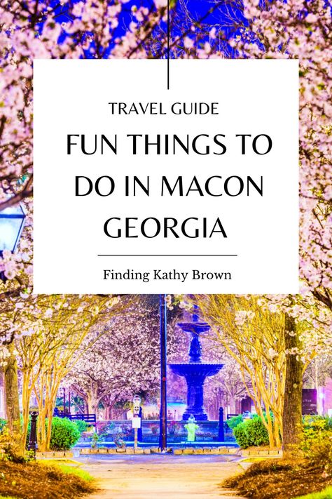 Macon is one of those secret gems in the heart of Georgia worth a weekend visit. Today let’s explore some of Macon’s best attractions and ways to make your stay memorable. Macon Georgia Things To Do In, Explore Georgia, Gorges State Park, Macon Georgia, Georgia Vacation, Best Christmas Lights, Popular Travel Destinations, Georgia Travel, Outside Activities