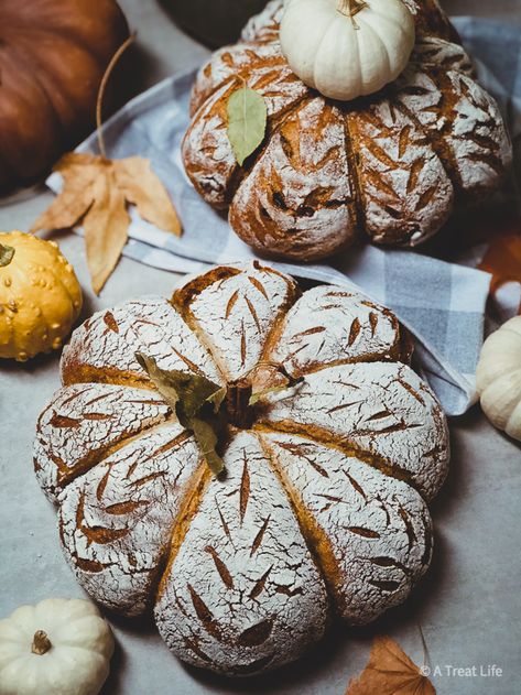 Pumpkin Cranberry Sourdough Bread, Pumpkin Sourdough Bread, Pumpkin Sourdough, Dutch Oven Uses, Oven Bread, Discard Recipes, Pumpkin Cranberry, Proofing Baskets, Sourdough Discard