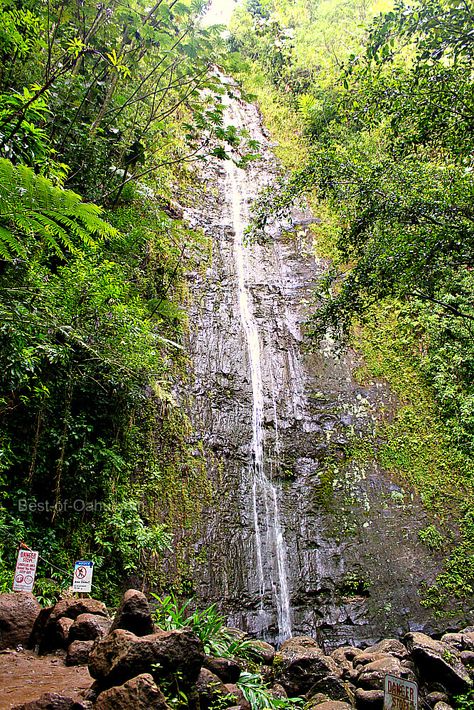 Manoa Falls Trail Manoa Falls Oahu, Oahu Waterfalls, Manoa Falls, Jungle Hike, Oahu Vacation, Hawaii Trip, Hawaii Travel, Oahu, The Rock