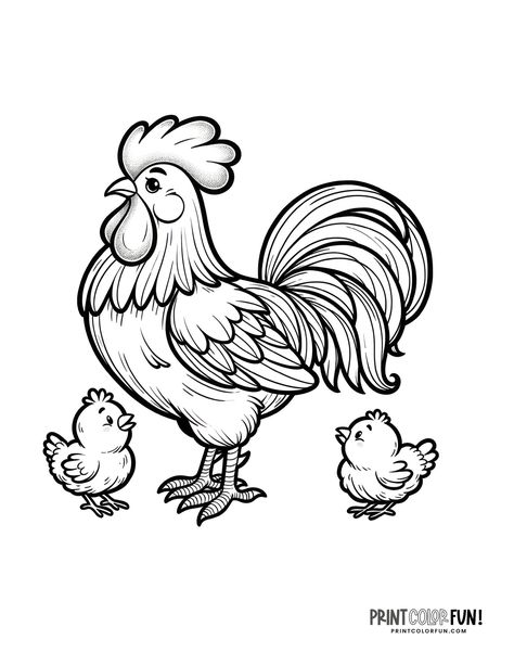 Chicken coloring page from PrintColorFun com 09 Printable Chicken Pictures, Rooster Coloring Pages, Chicken Coloring Pages, Chicken Clipart, Chicken Coloring, Chicken Pictures, Pyrography Patterns, Hens And Chicks, Bethlehem