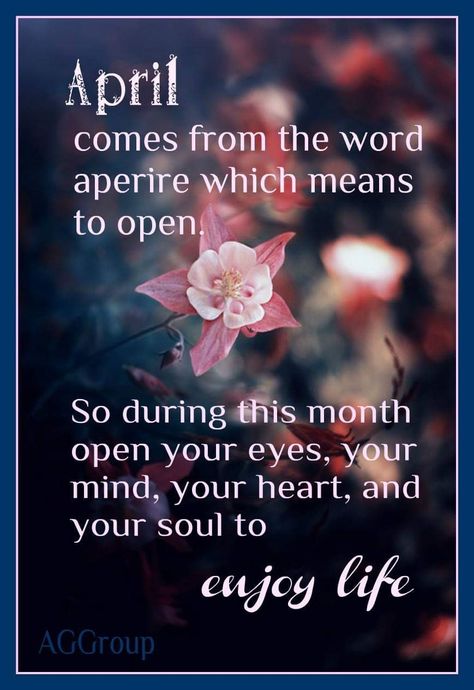 Hello April Month, Hello April Quotes, Heal The Soul, April Month, April Quotes, Hello April, Aries Woman, Blessed Quotes, Word Of Advice