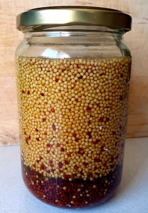 Fermented Condiments, Fermented Mustard, Food Fermentation, Fermenting Recipes, Lacto Fermentation, Homemade Hot Dogs, Beer Mustard, Lacto Fermented, Homemade Mustard