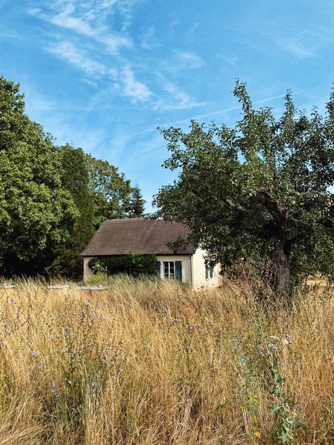 #house in the middle of a #field in Germany. #oldvillage #old #oldhouselove #garden House In Field, Drawtober 2024, House In A Field, Abandoned Aesthetic, One Room Houses, Field House, Suburban House, Wooden Buildings, Grass Field