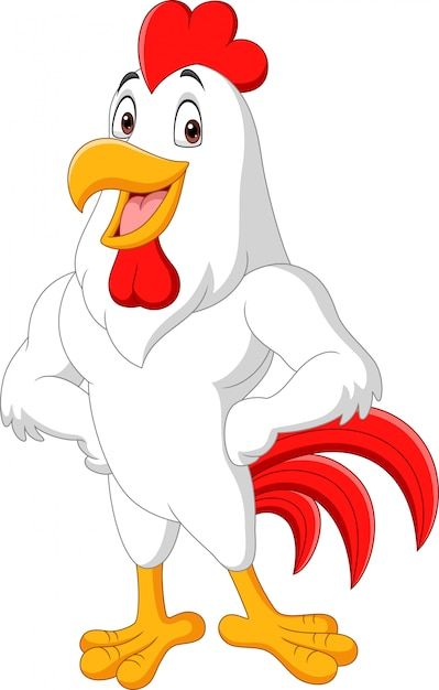 Cartoon rooster posing isolated on white... | Premium Vector #Freepik #vector #rooster #cock #cartoon-chicken #hen Chicken Song, Farm Illustration, Cartoon Rooster, Hen Farm, Farm Logo Design, Farm Craft, Chicken Shop, Farm Photography, Farm Logo