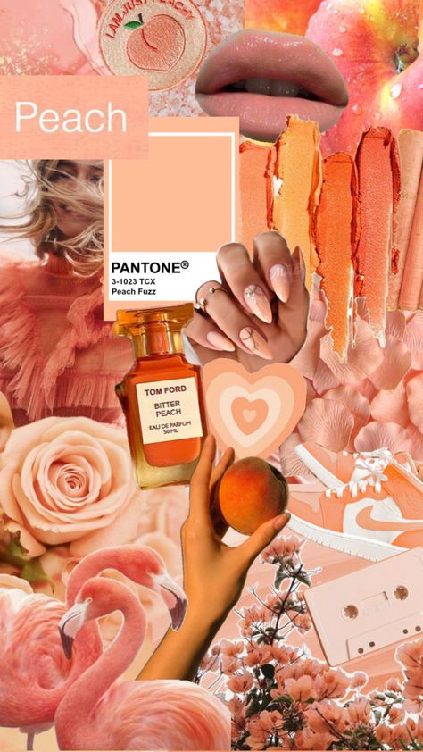 #aesthetic #peach #peachfuzz #pantone #colouroftheyear #colour2024 #peachaesthetic #collage #peachcollage Aesthetic Peach, Peach Aesthetic, Peach Fuzz, Color Inspo, Tom Ford, Collage, Color