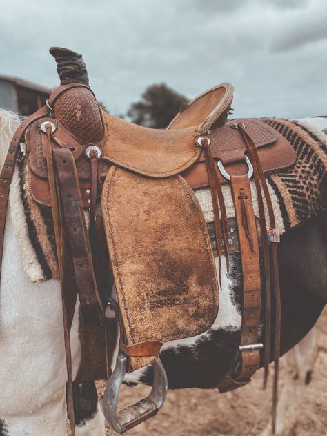 Saddle Photography, Barrel Racing Tack Rodeo, Bling Horse Tack, Roping Saddles, Barrel Racing Tack, Cowboy Aesthetic, Barrel Saddle, Western Tack, Tack Sets