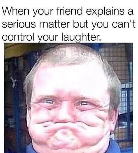 When your friend explains a serious matter but you can't control your laughter Funny Animal Jokes, Hilarious Memes, Crazy Funny Memes, Memes Humor, Humor Memes, Try Not To Laugh, Komik Internet Fenomenleri, E Card, Grumpy Cat