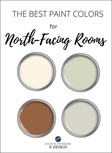 North Facing Room: The Best Most Popular Benjamin Moore Paint Colours Long Valley Birch Benjamin Moore, Light Interior Paint Colors Living Room, Best Paint Colors For North Facing Rooms Sherwin Williams, Green Paint For North Facing Room, Green For North Facing Room, Northwest Facing Room Paint, Paint For North Facing Bedroom, North Room Paint Colors, North Facing Bathroom Paint Colors