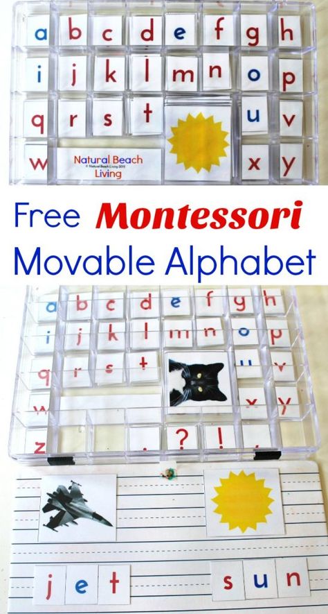 DIY Montessori Movable Alphabet (Free Printables) Alphabet Picture Cards, Montessori Preschool Activities, Vpk Activities, Montessori Alphabet, Kindergarten Montessori, Montessori Activities Preschool, Montessori Language, Montessori Printables, Diy Montessori